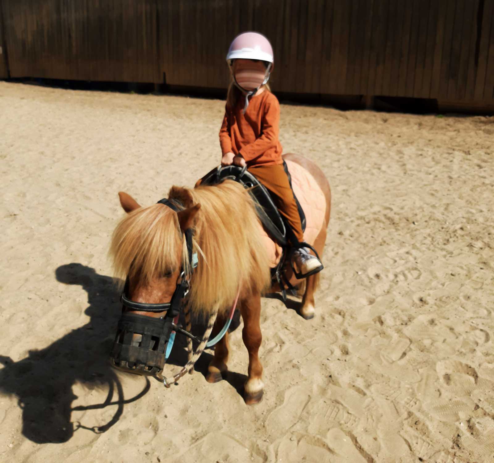 Une jeune cavalière sur un poney lors de l'opération Brioches