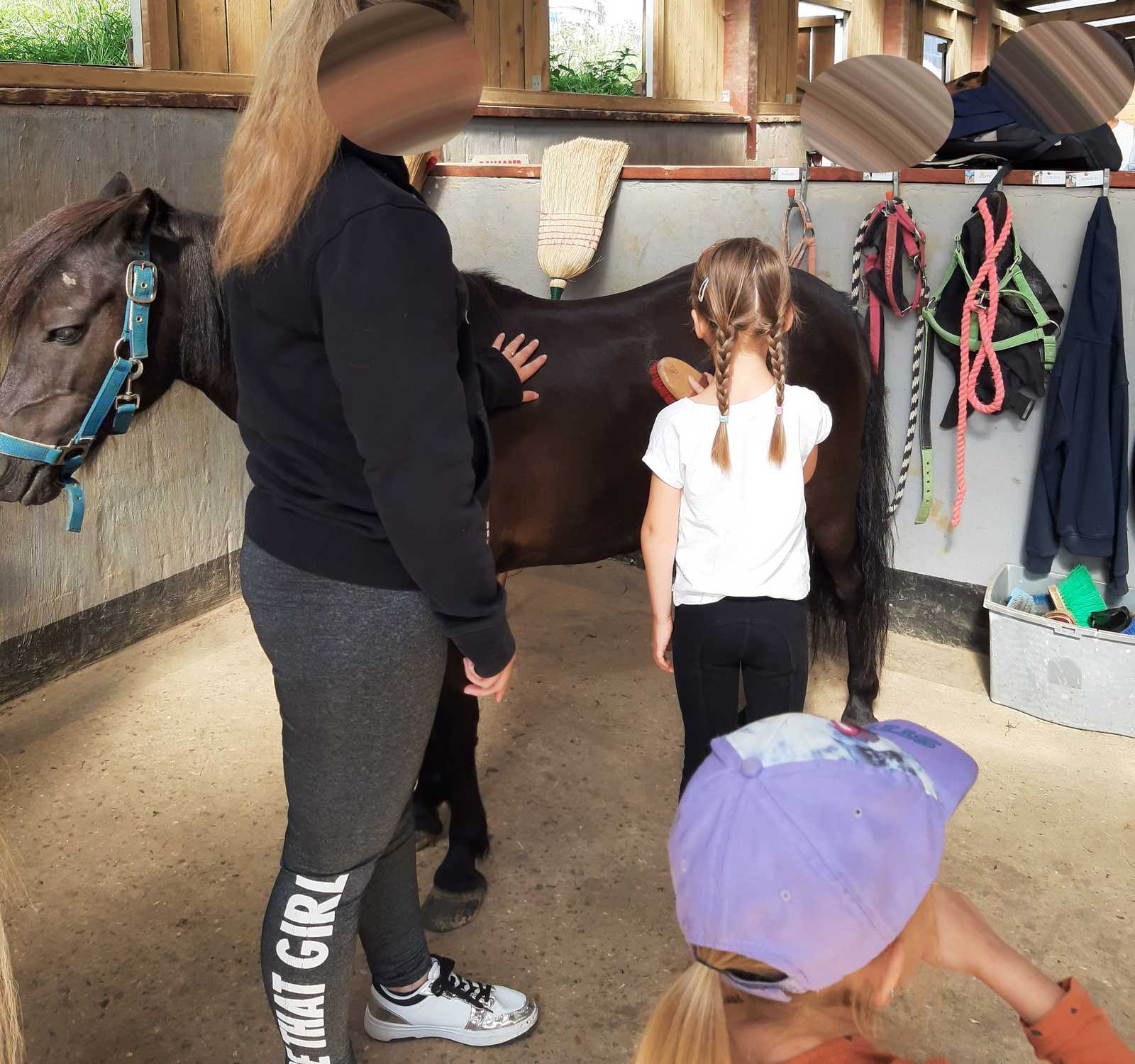 Pansage d'un poney avec les enfants dans l'écurie